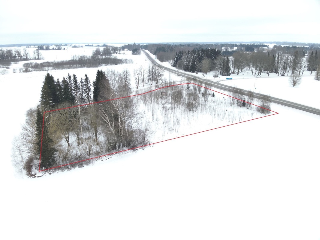 Järva vald, Koigi küla, Risttee