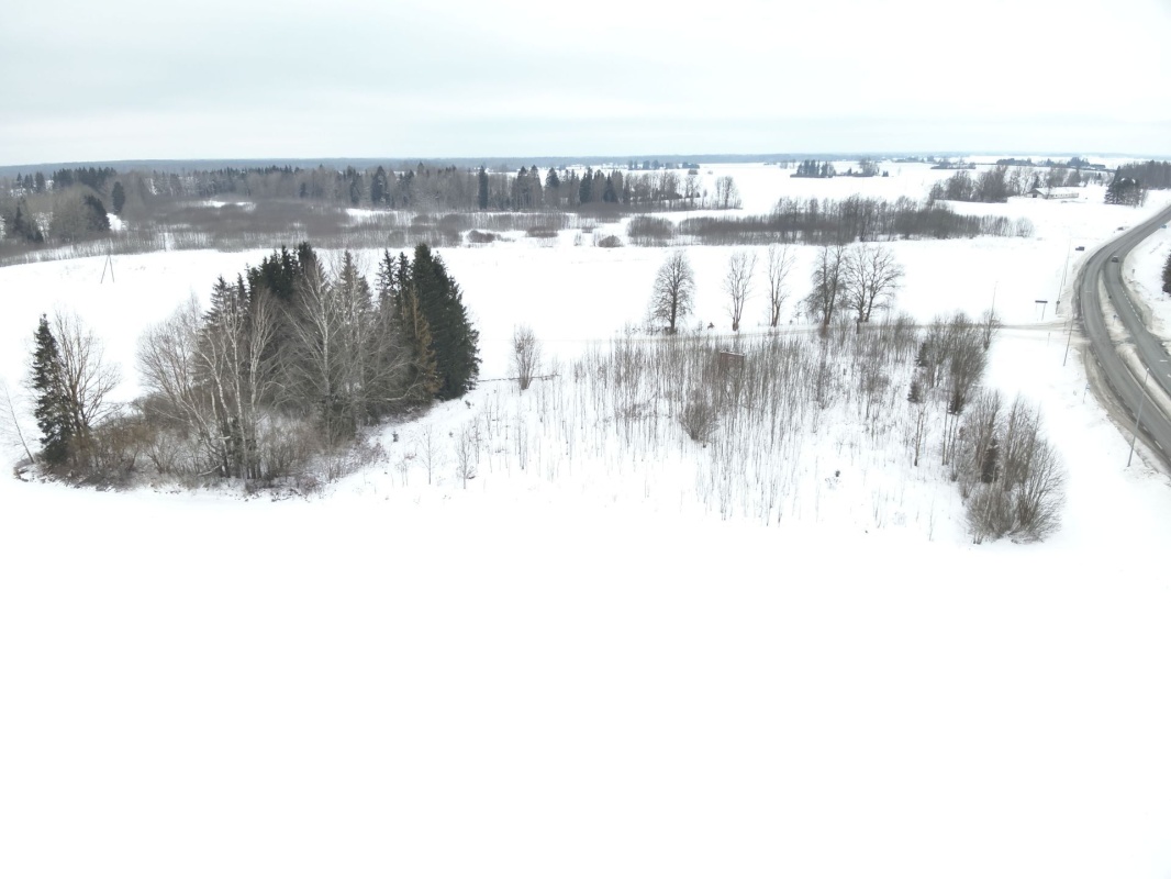 Järva vald, Koigi küla, Risttee