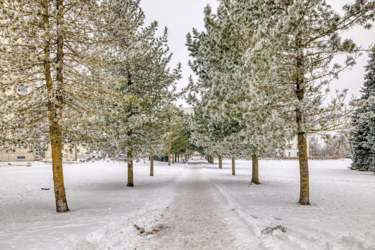 Tallinn, Haabersti linnaosa, Väike-Õismäe, Järveotsa tee 2