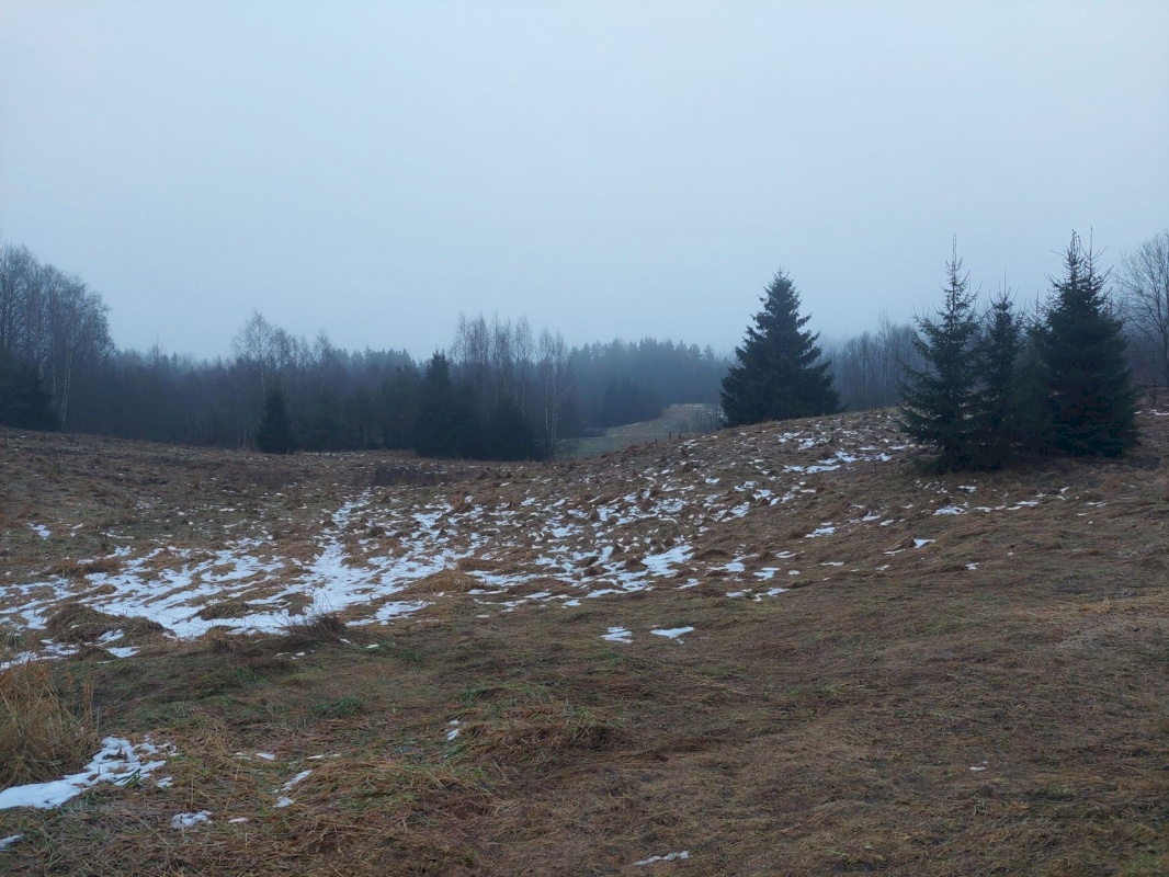 Rõuge vald, Kaloga küla