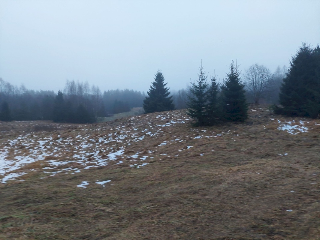 Rõuge vald, Kaloga küla