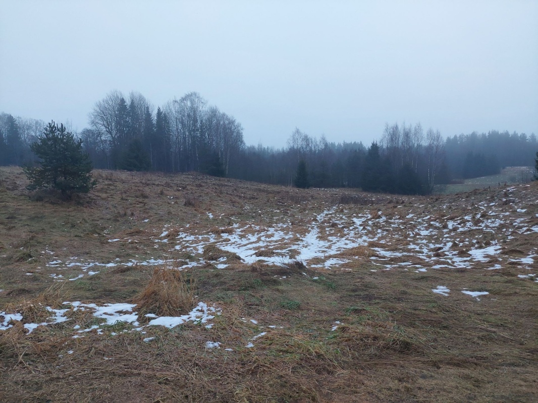 Rõuge vald, Kaloga küla