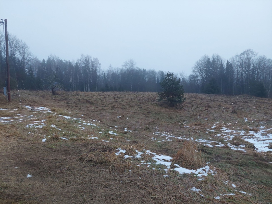 Rõuge vald, Kaloga küla