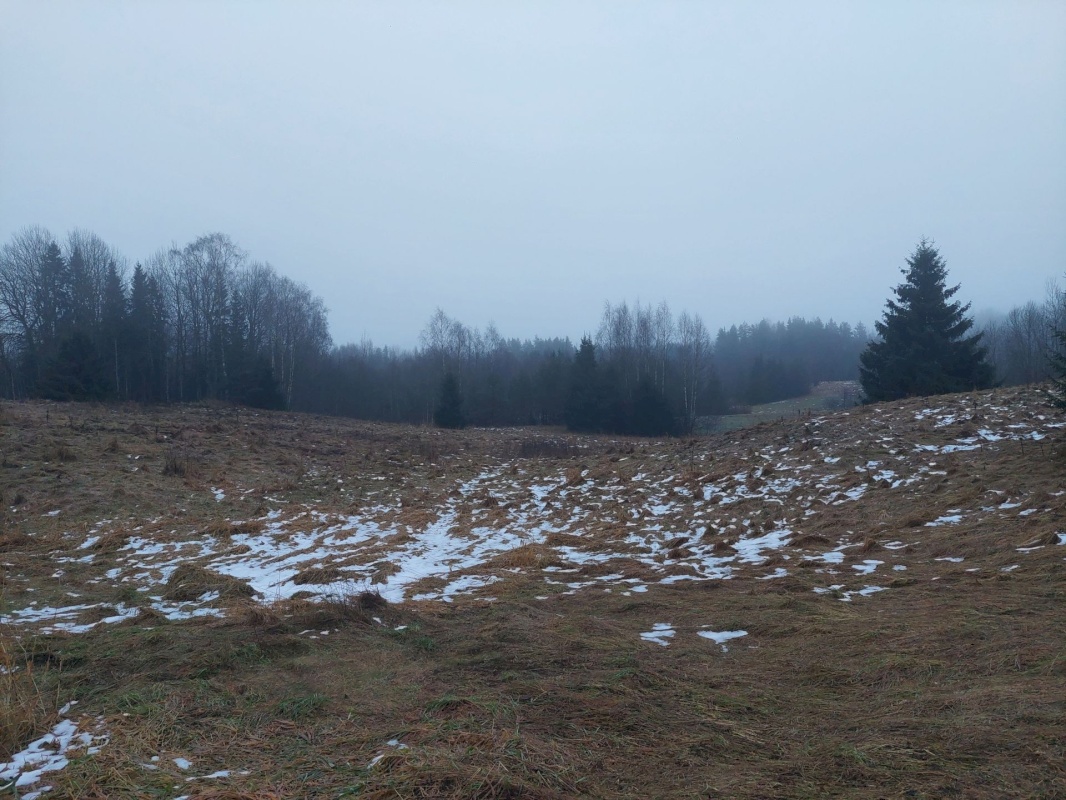 Rõuge vald, Kaloga küla