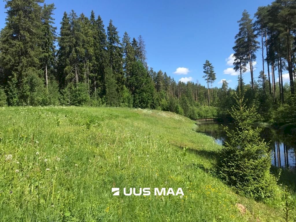 Anija vald, Raudoja küla, Järvesaare