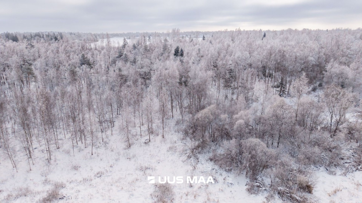 Kastre vald, Sarakuste küla