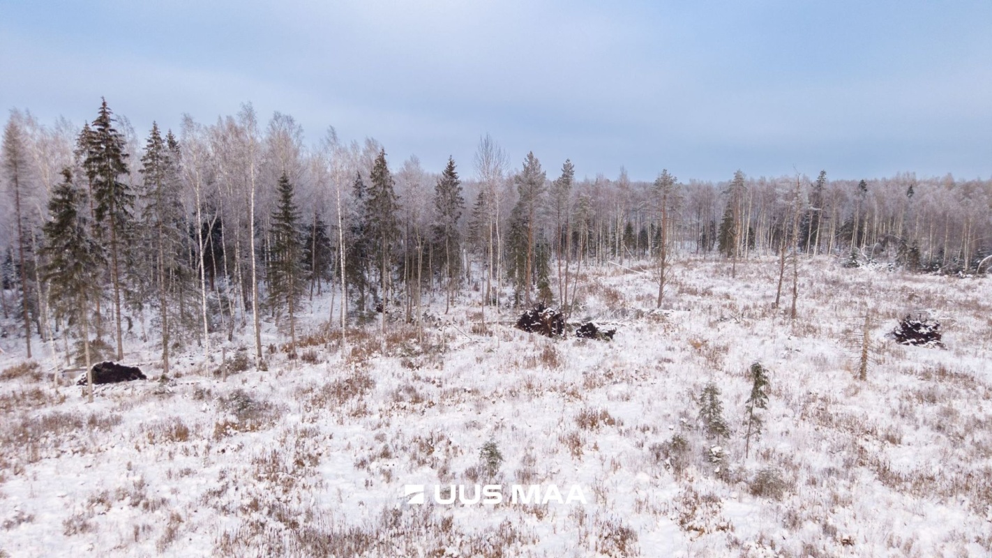 Kastre vald, Sarakuste küla