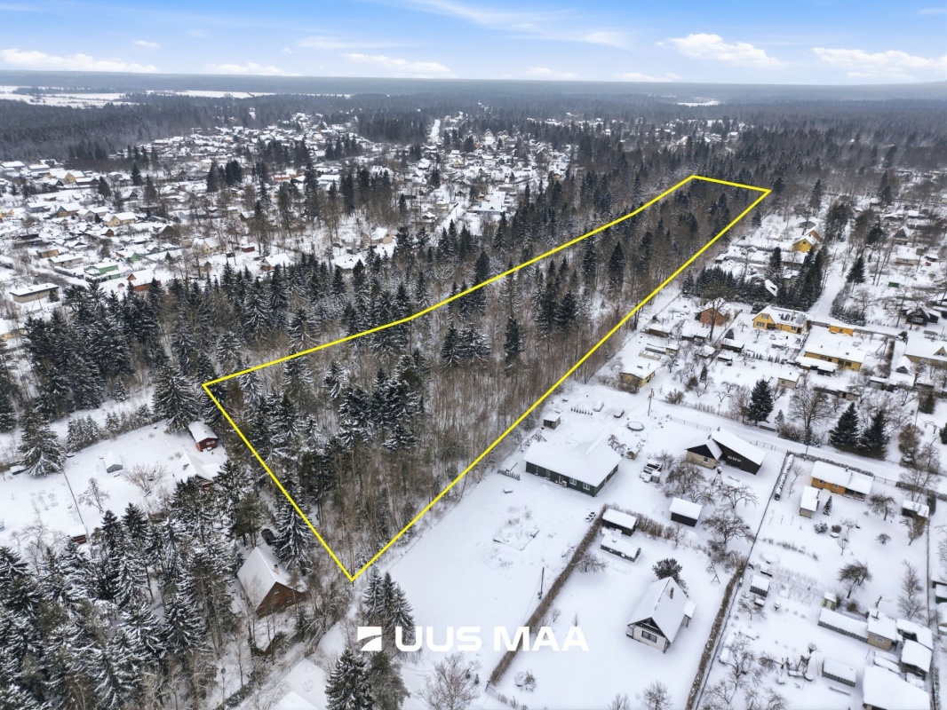 Kohila vald, Aespa alevik, Pärditammik