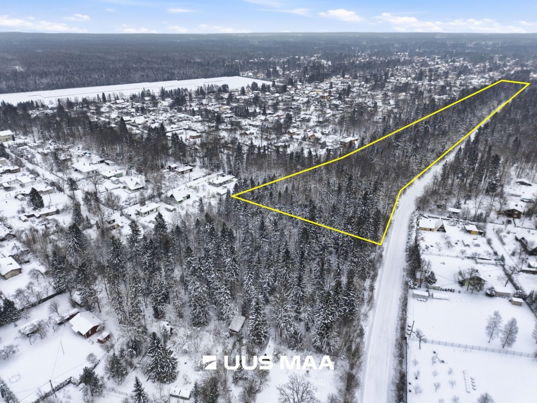 Kohila vald, Aespa alevik, Pärditammik