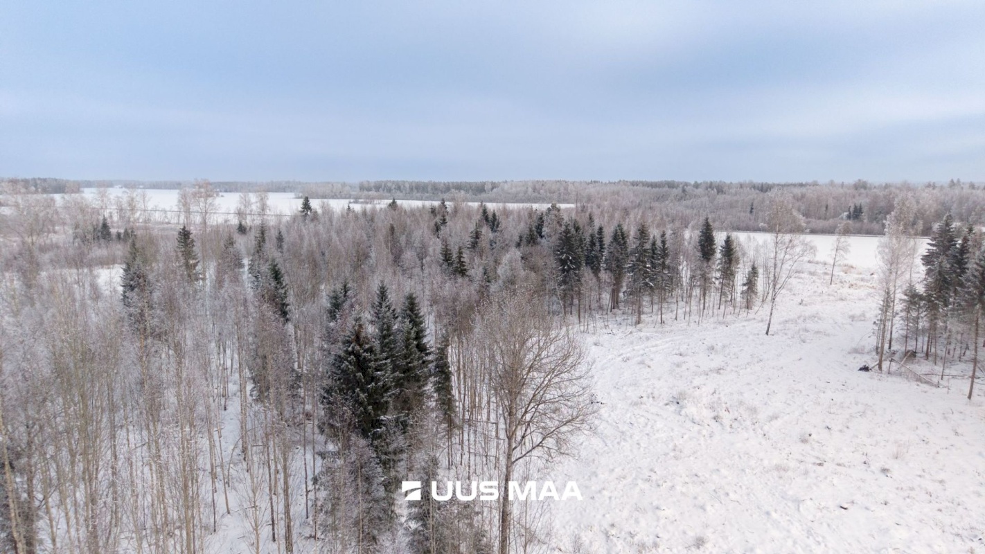 Luunja vald, Kakumetsa küla