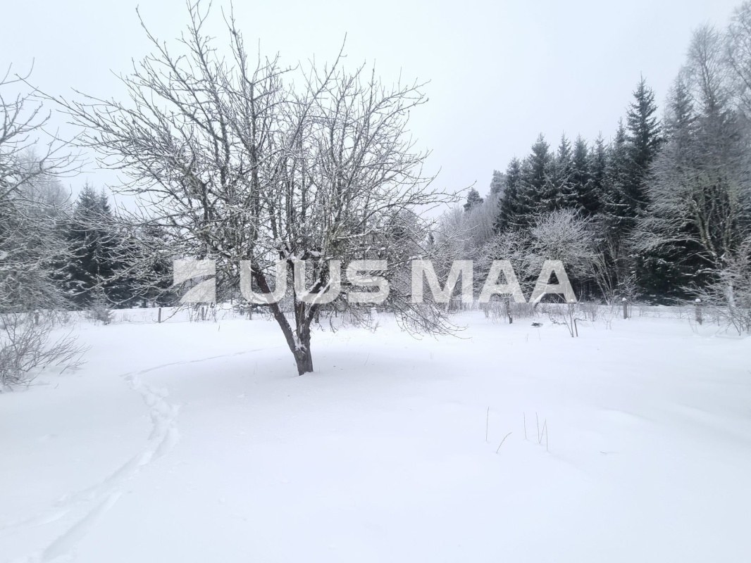 Vinni vald, Kantküla