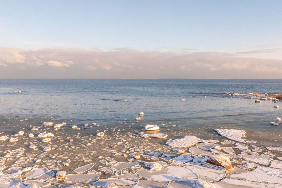 Viimsi vald, Tammneeme küla, Viire tee 6