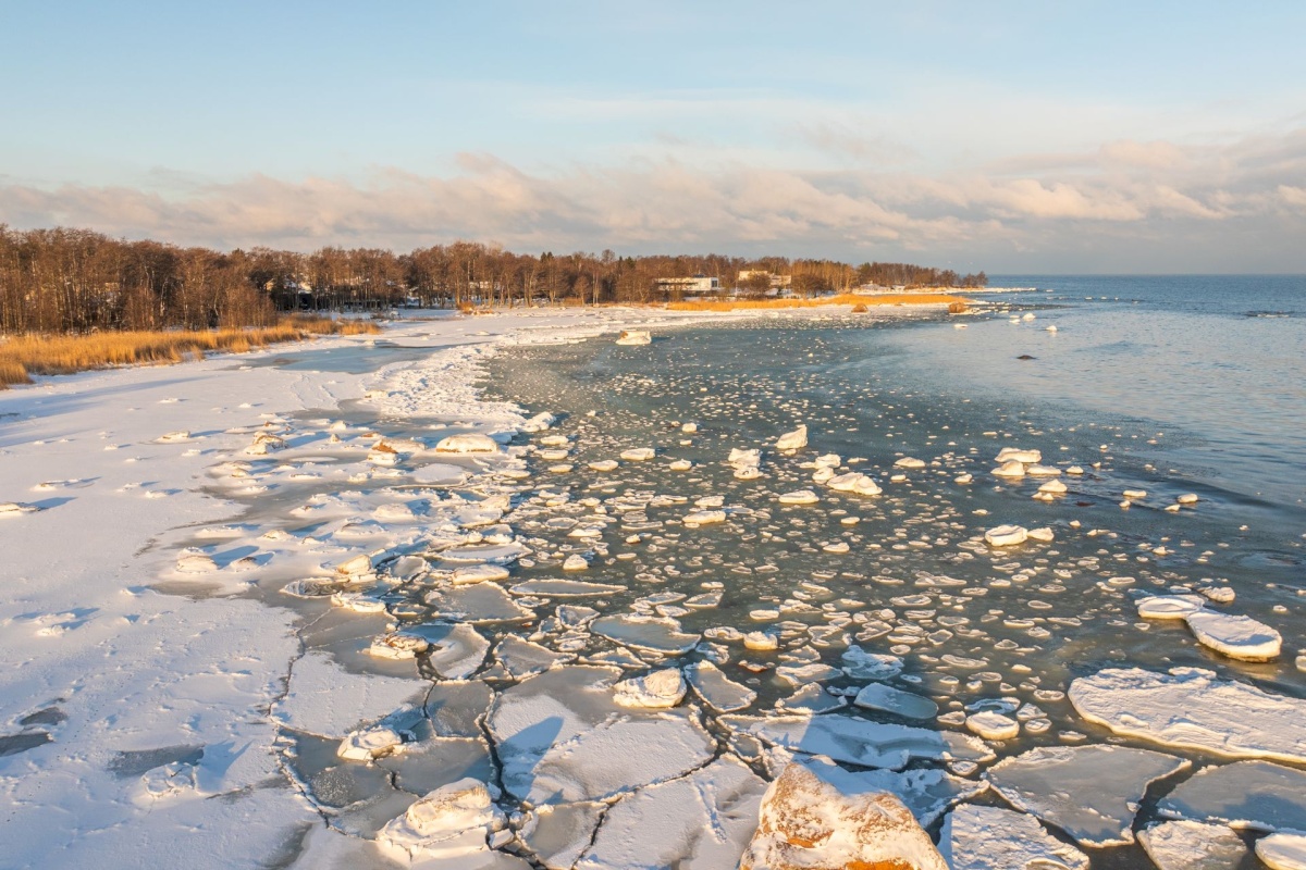 Viimsi vald, Tammneeme küla, Viire tee 6