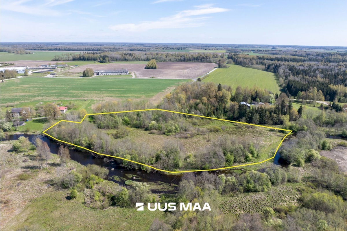 Türi vald, Türi-Alliku küla, Veski tee 6