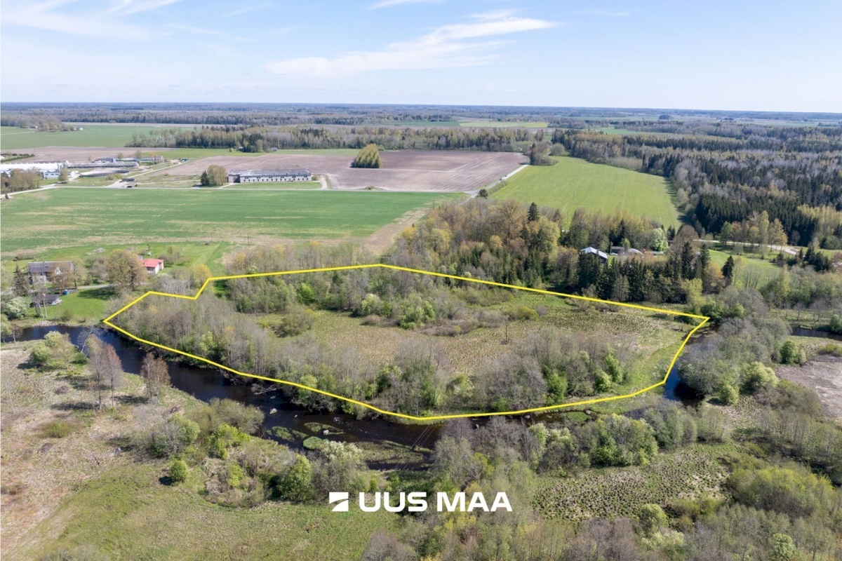 Türi vald, Türi-Alliku küla, Veski tee 6