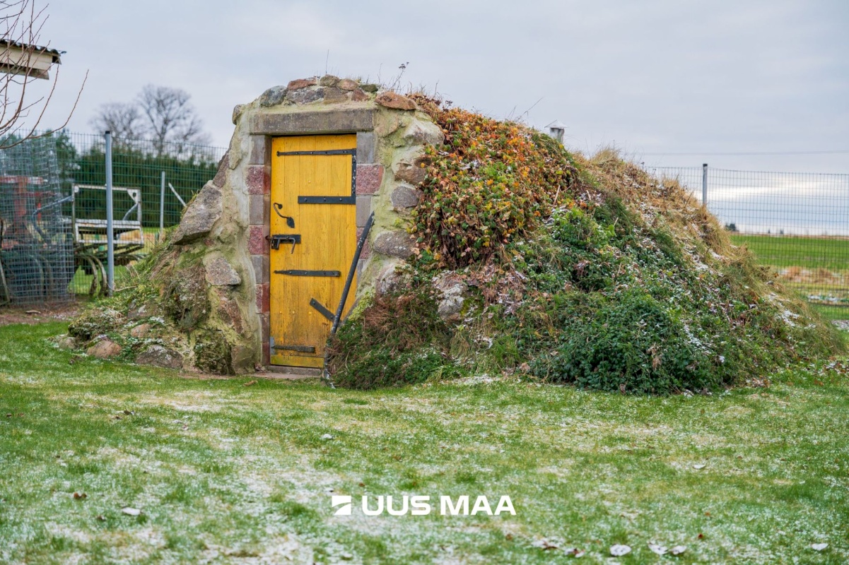 Jõgeva vald, Visusti küla