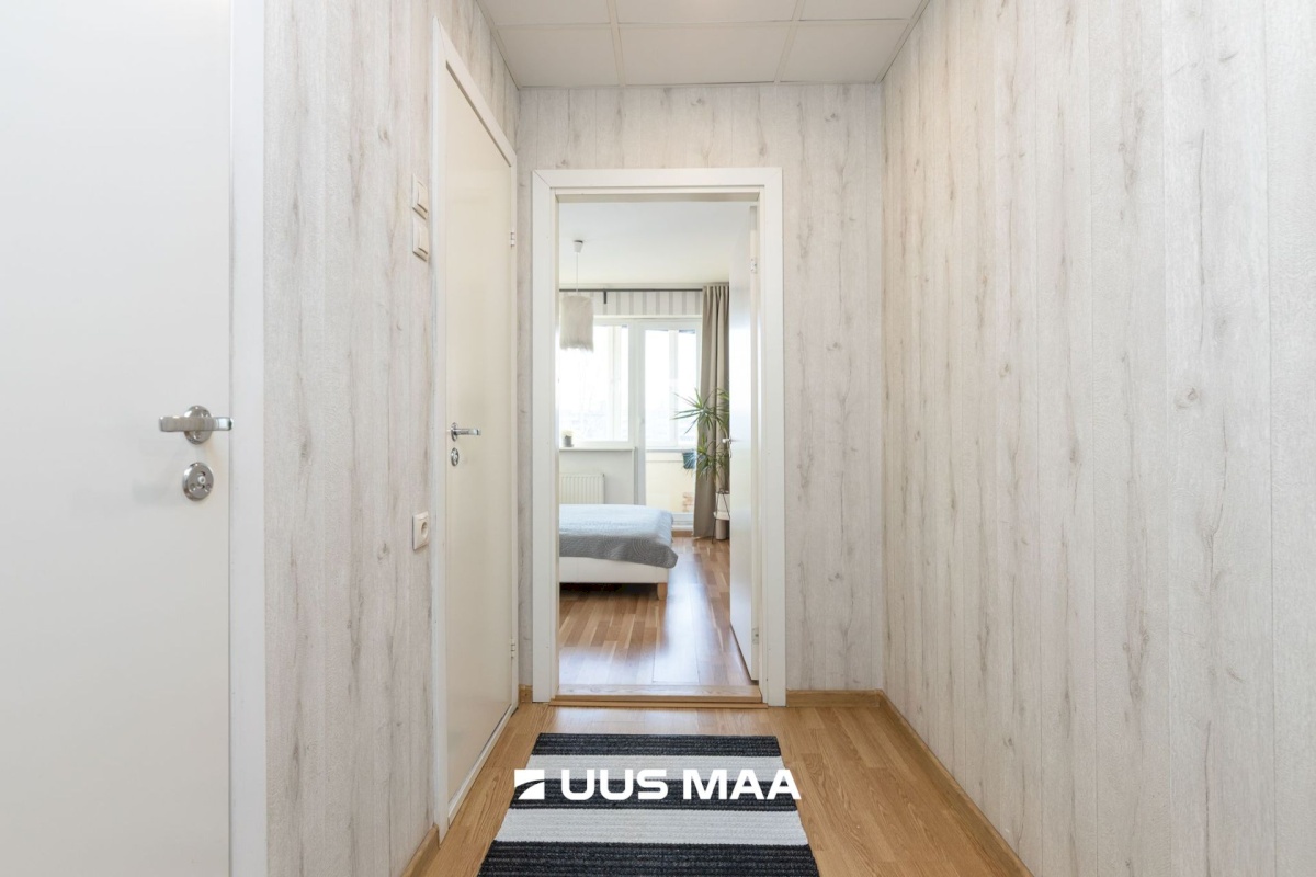 Tallinn, Lasnamäe linnaosa, Pae 84