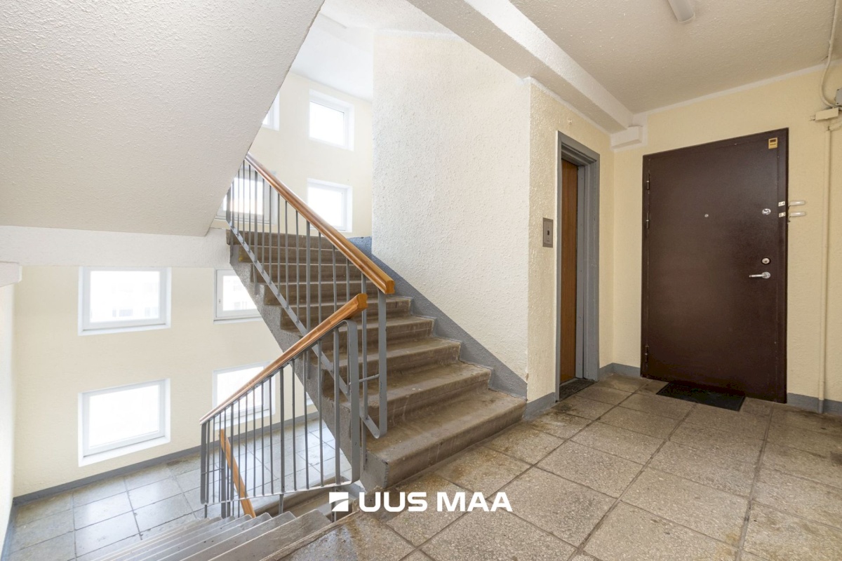 Tallinn, Lasnamäe linnaosa, Pae 84