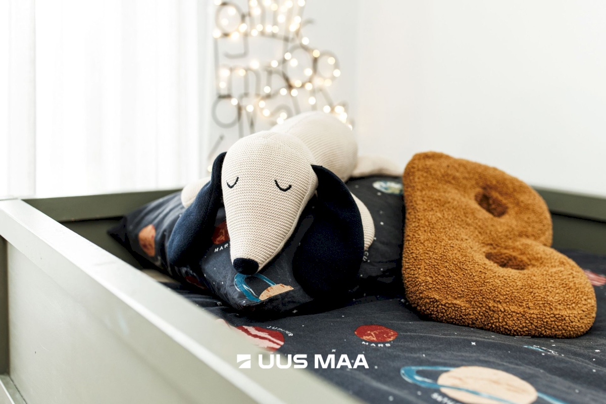 Viimsi vald, Metsakasti küla, Lätte tee 3