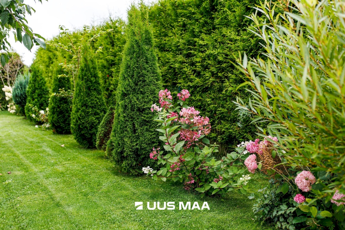 Viimsi vald, Metsakasti küla, Lätte tee 3