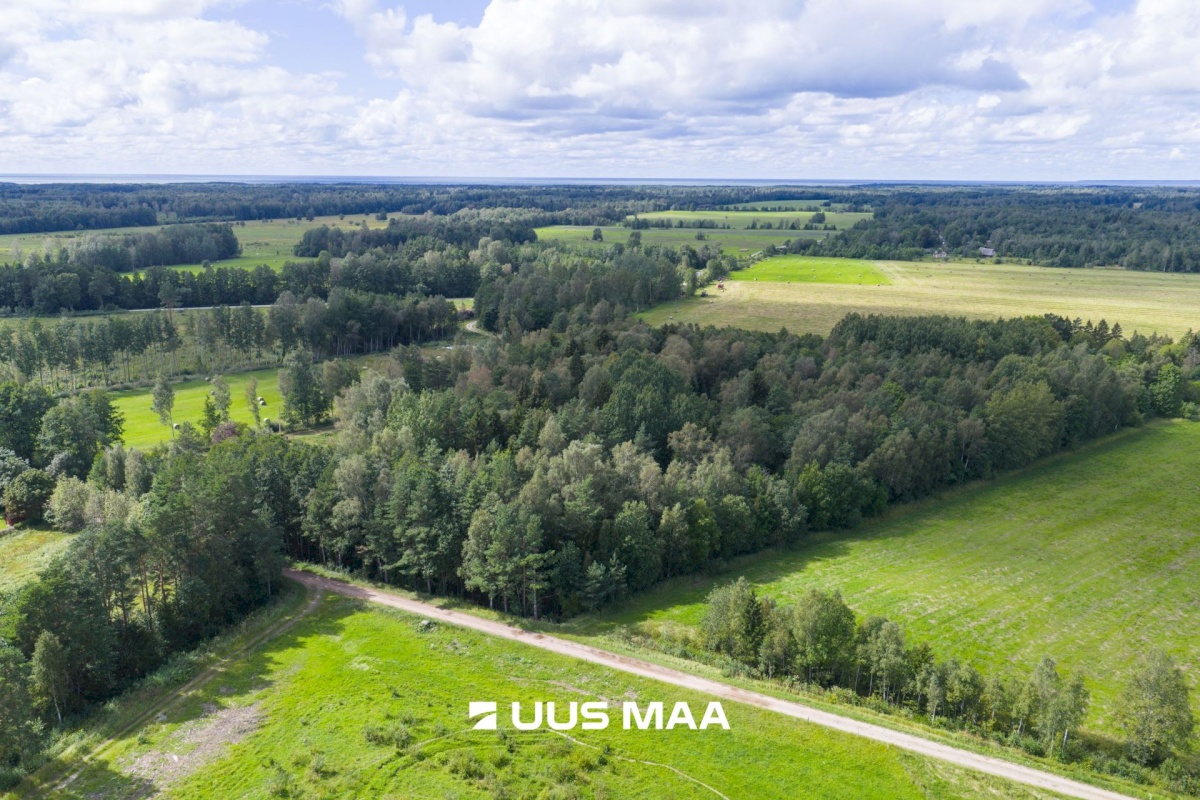 Hiiumaa vald, Emmaste-Kurisu küla, Sarapuu