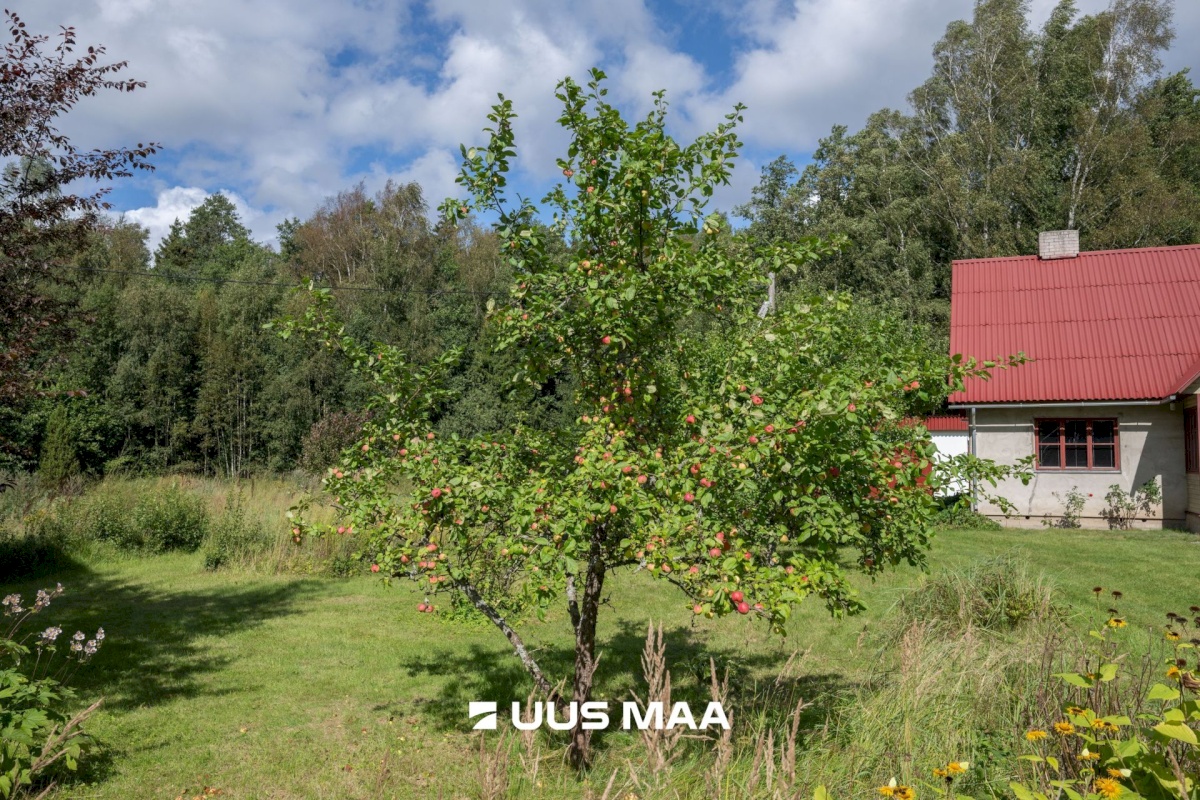 Hiiumaa vald, Emmaste-Kurisu küla, Sarapuu