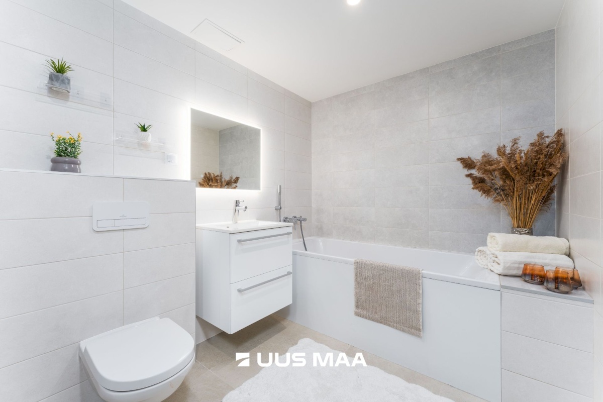 Pärnu linn, Papsaare küla, Mesiheina tee 6