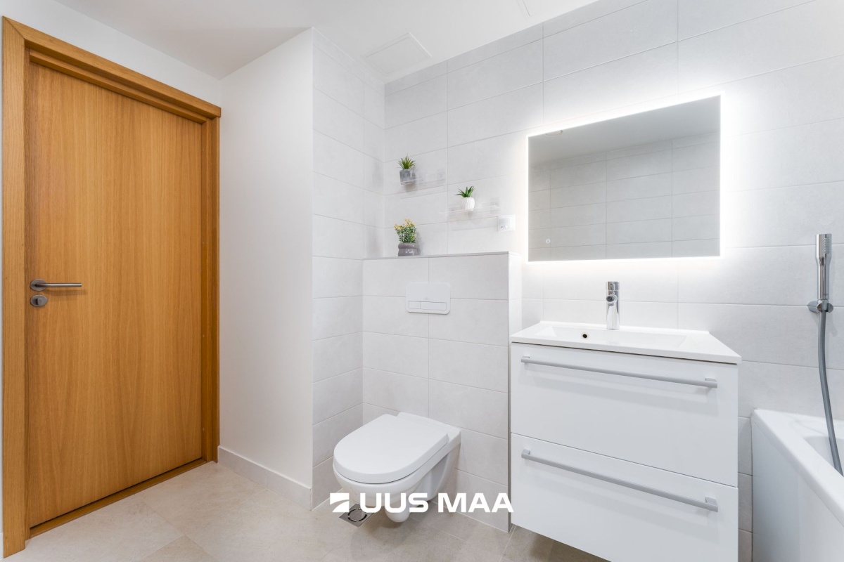 Pärnu linn, Papsaare küla, Mesiheina tee 6