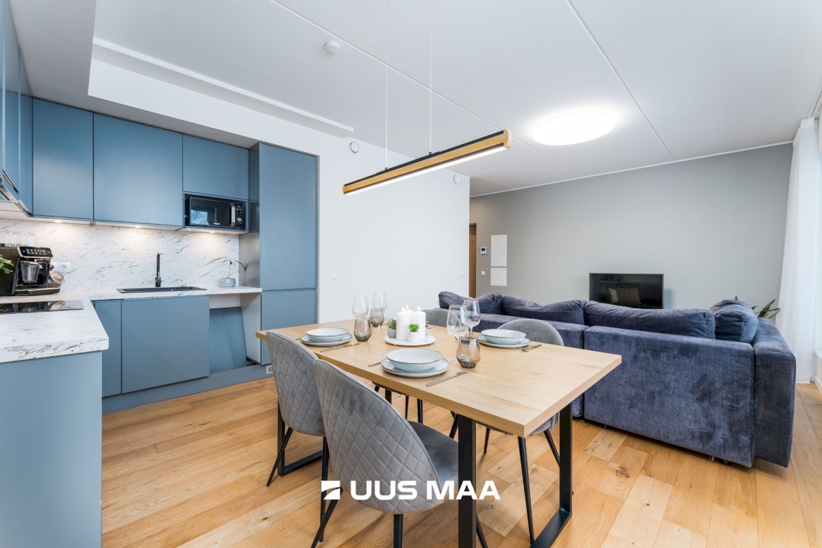 Pärnu linn, Papsaare küla, Mesiheina tee 6