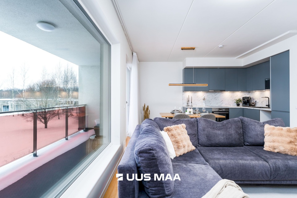 Pärnu linn, Papsaare küla, Mesiheina tee 6