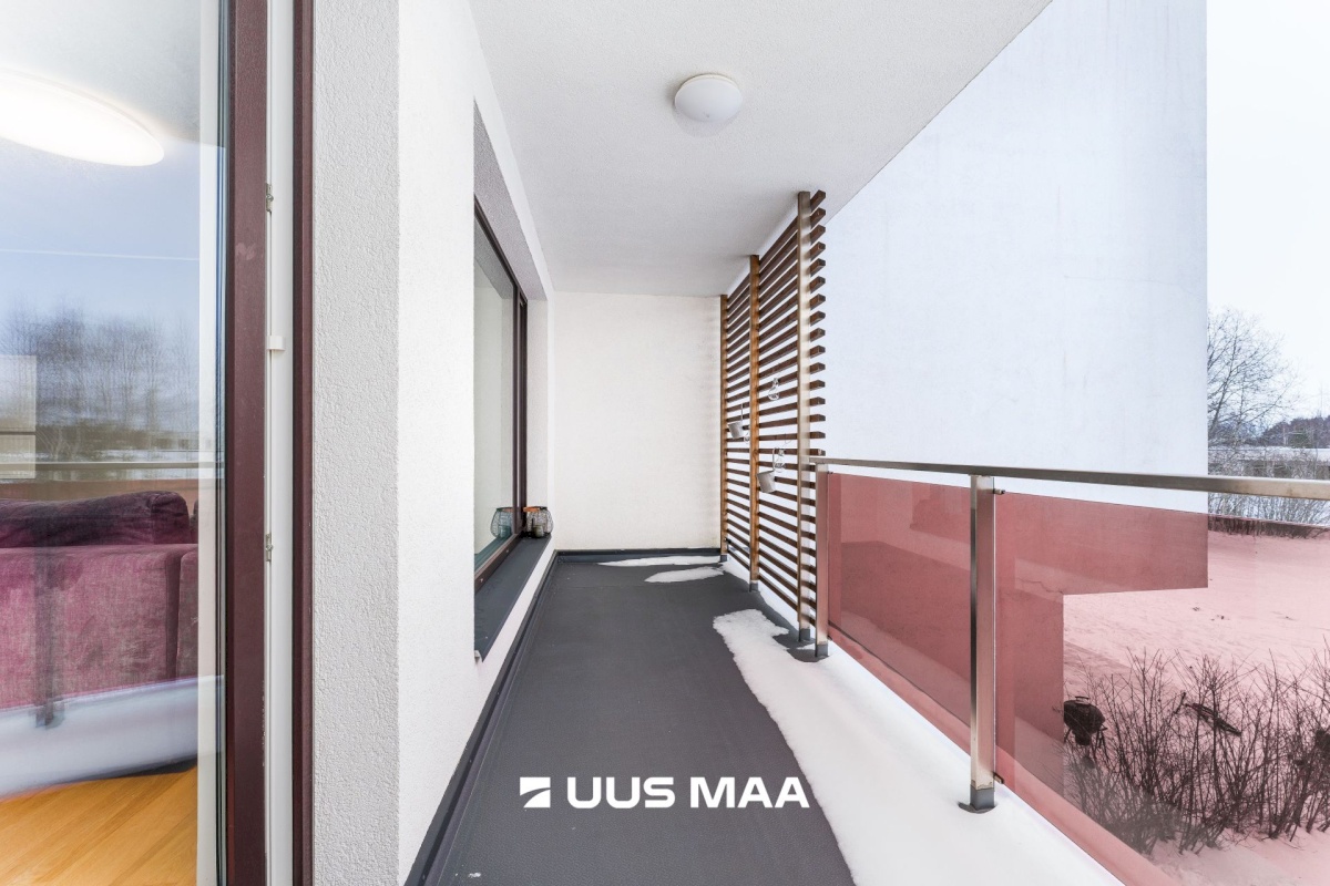 Pärnu linn, Papsaare küla, Mesiheina tee 6