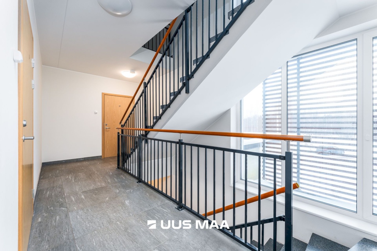 Pärnu linn, Papsaare küla, Mesiheina tee 6