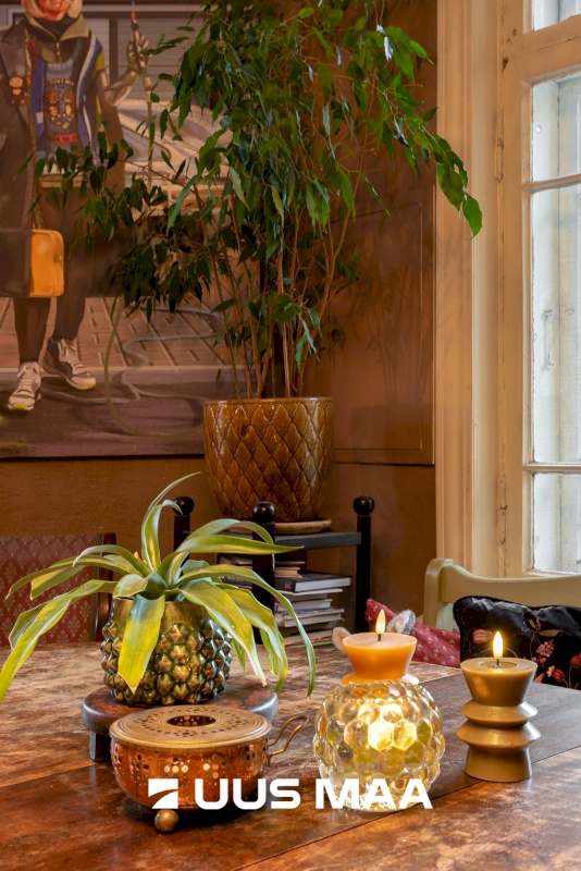 Tartu linn, Tartu linn, Karlova, Tolstoi 14