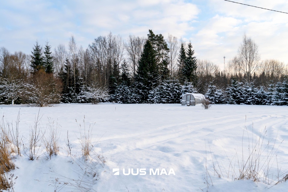 Mulgi vald, Veelikse küla, Karuoti