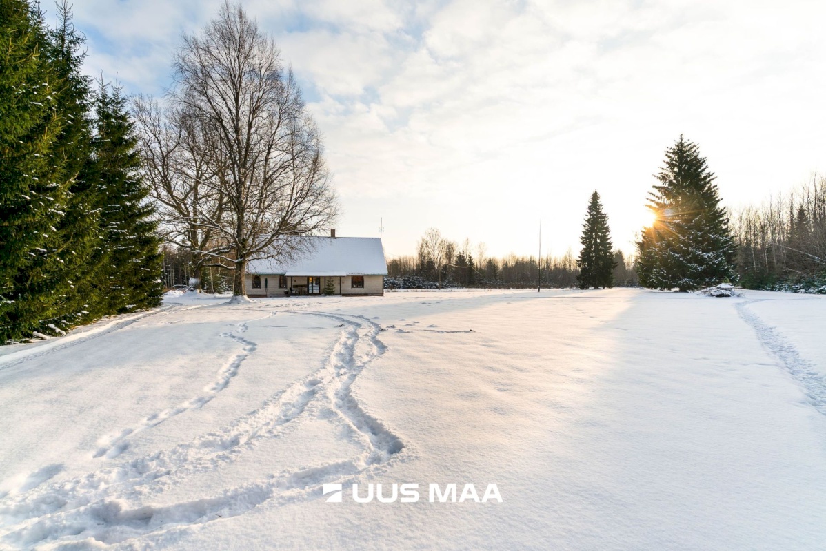 Mulgi vald, Veelikse küla, Karuoti