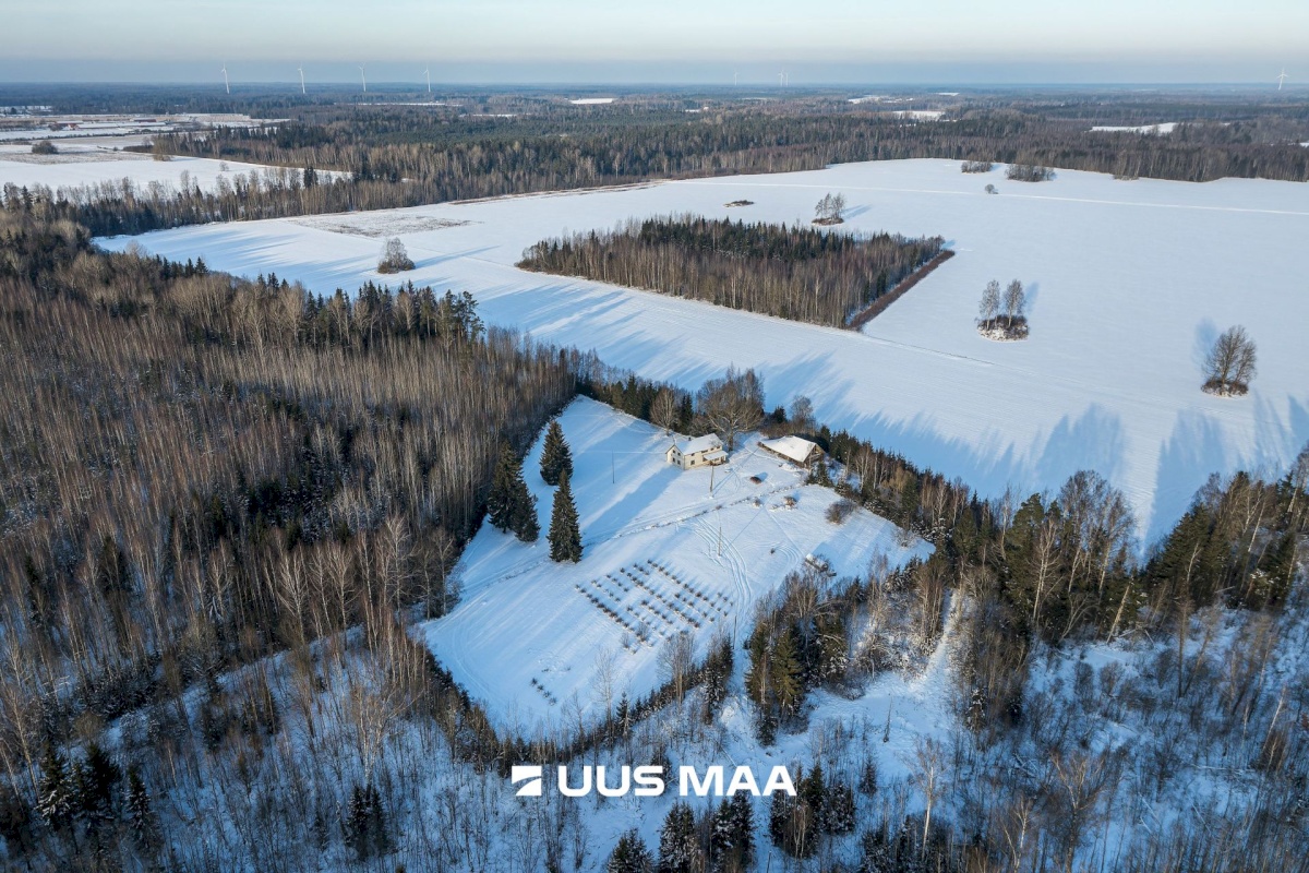 Mulgi vald, Veelikse küla, Karuoti