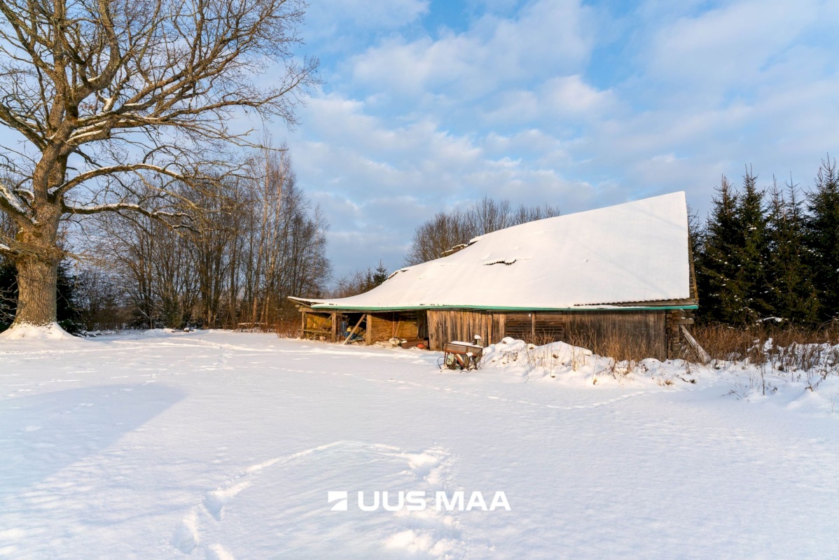 Mulgi vald, Veelikse küla, Karuoti