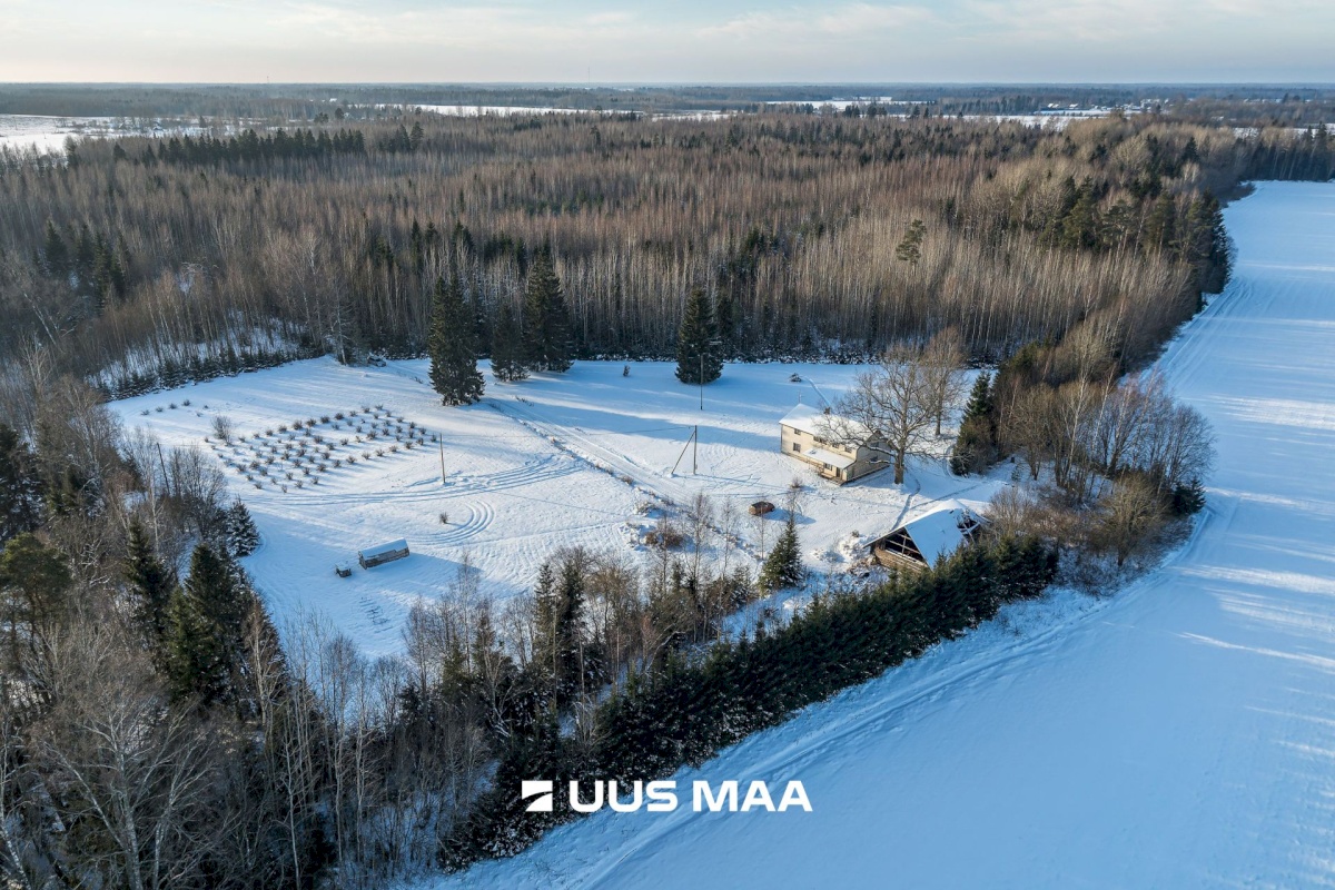 Mulgi vald, Veelikse küla, Karuoti