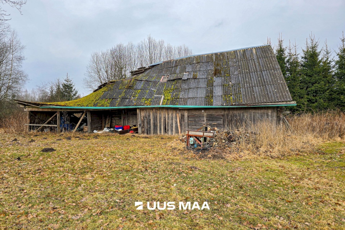 Mulgi vald, Veelikse küla, Karuoti