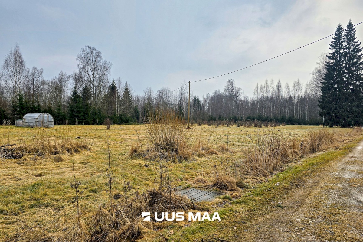 Mulgi vald, Veelikse küla, Karuoti