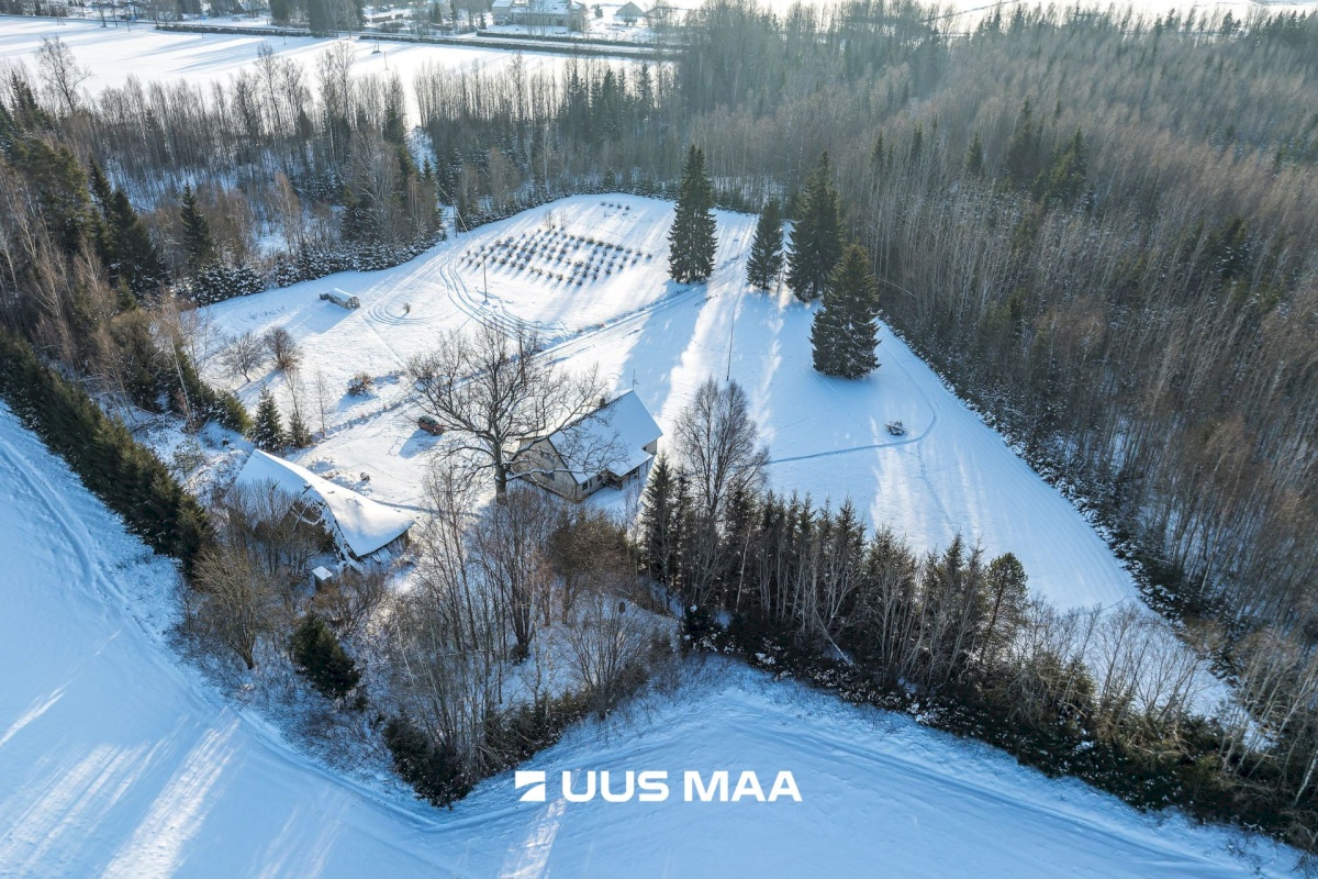 Mulgi vald, Veelikse küla, Karuoti