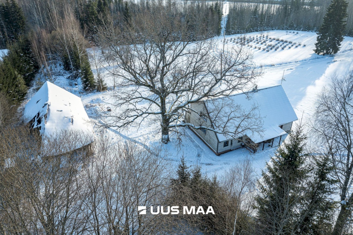 Mulgi vald, Veelikse küla, Karuoti