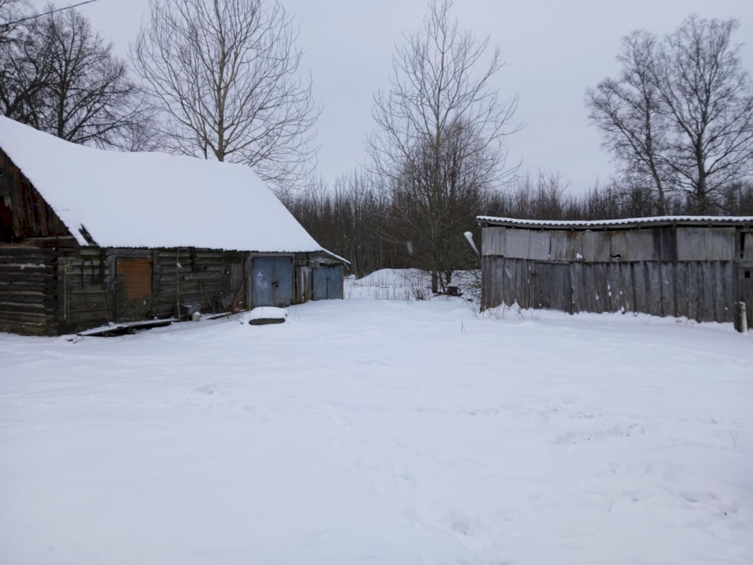 Põhja-Pärnumaa vald, Vee küla, Saugametsa