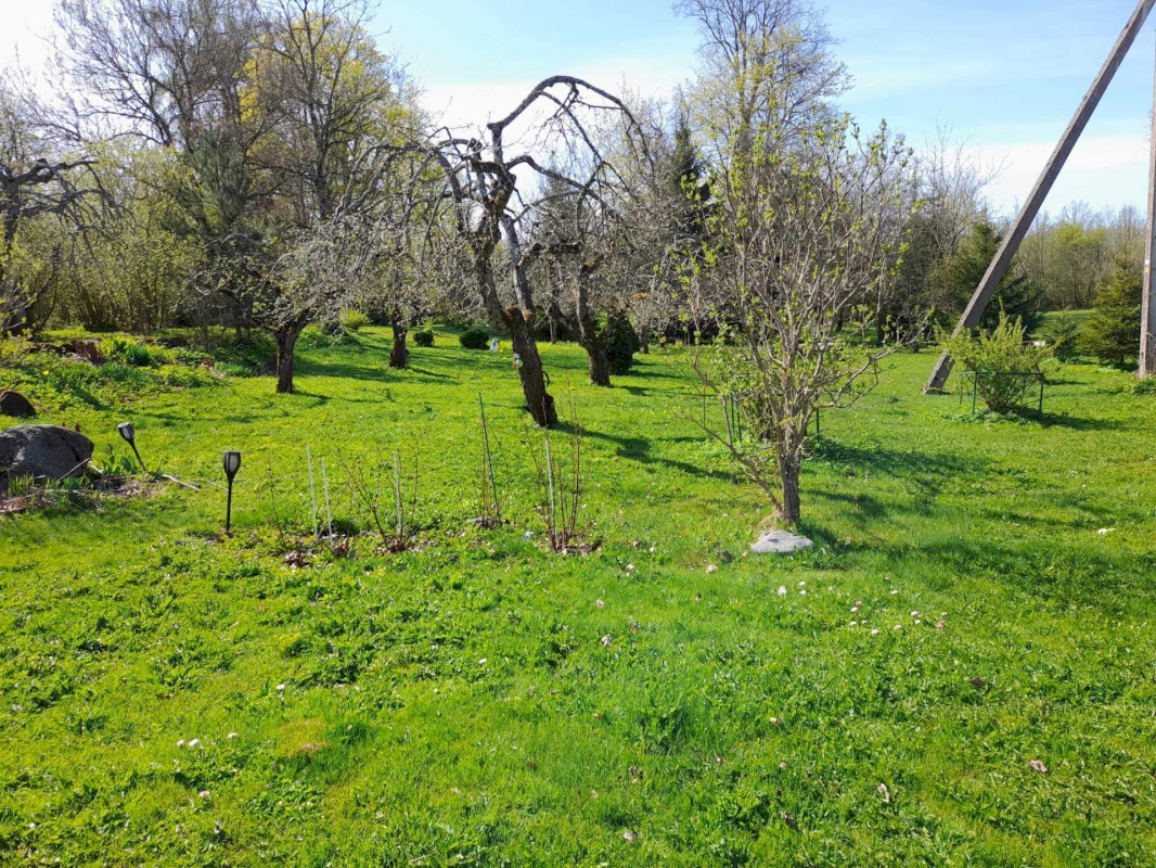 Põhja-Pärnumaa vald, Vee küla, Saugametsa