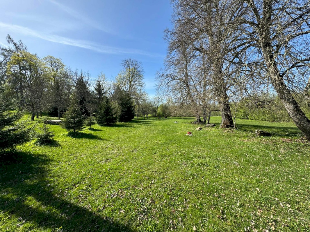 Põhja-Pärnumaa vald, Vee küla, Saugametsa