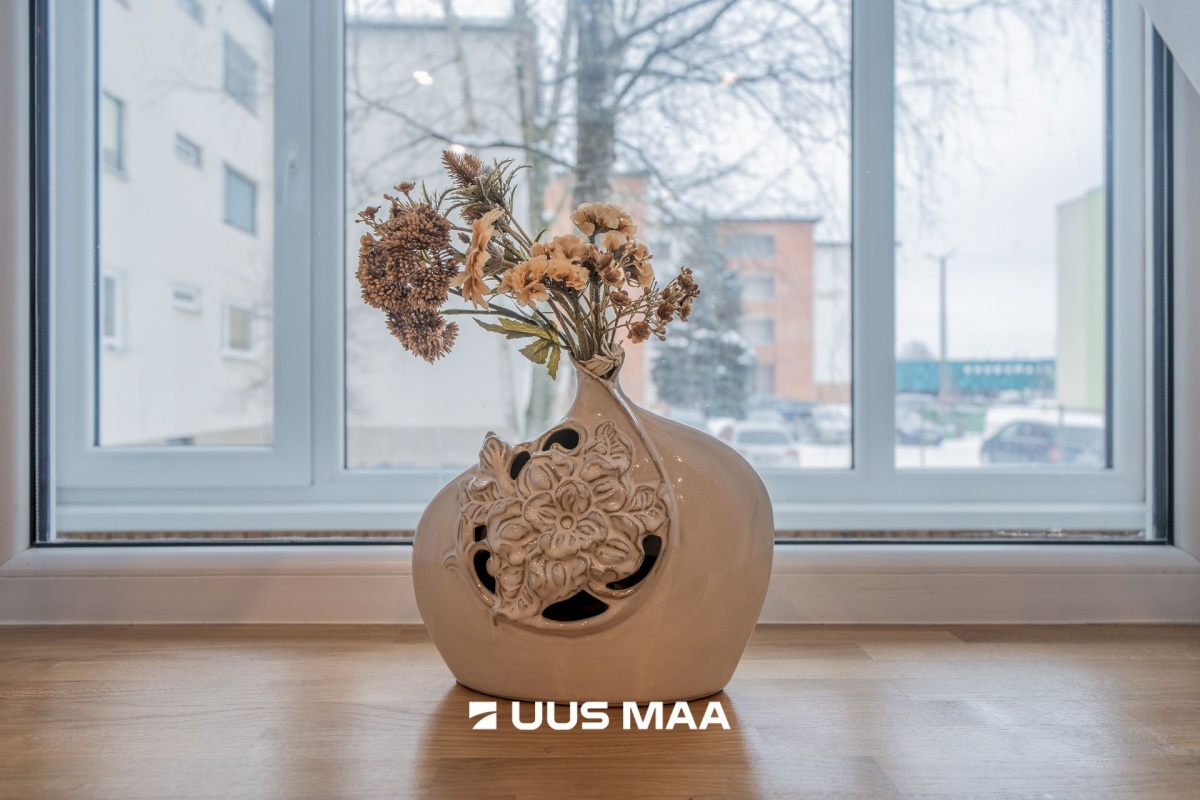 Võru linn, Olevi 36