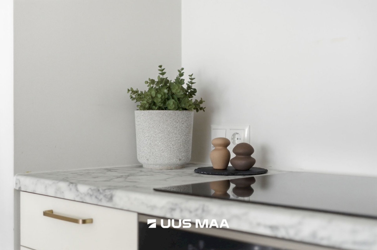 Tallinn, Lasnamäe linnaosa, Liikuri 5