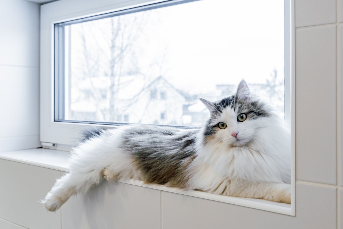 Saue vald, Vanamõisa küla, Vahtra tee 1a