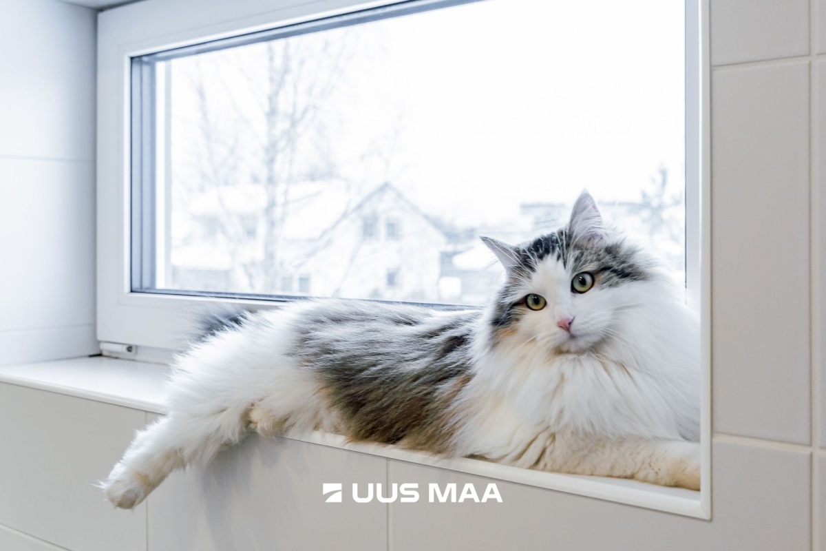 Saue vald, Vanamõisa küla, Vahtra tee 1a