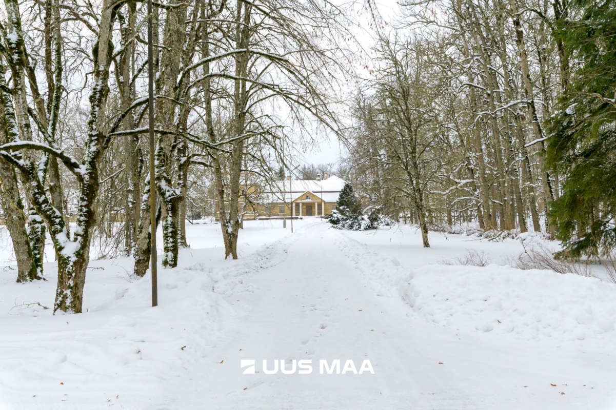 Vinni vald, Roela alevik, Pargi 4